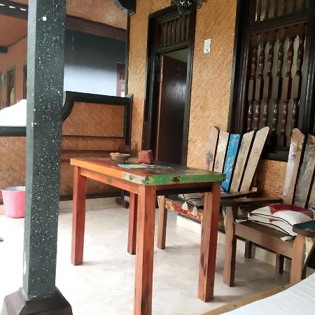 Darta Green Garden